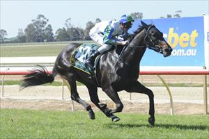 Debutant Simply too good at Echuca